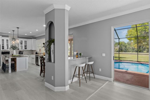 15618 SHOAL CREEK PLACE, Odessa, FL 33556