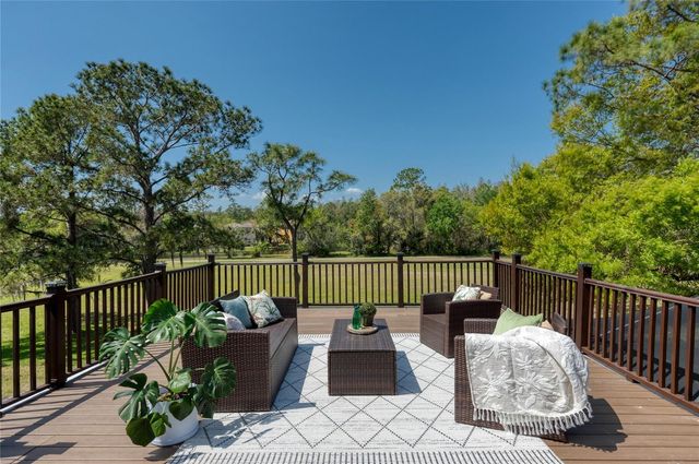 15618 SHOAL CREEK PLACE, Odessa, FL 33556