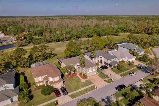 15618 SHOAL CREEK PLACE, Odessa, FL 33556