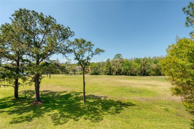 15618 SHOAL CREEK PLACE, Odessa, FL 33556