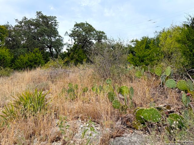 1232 Kings Cove Dr, Canyon Lake, TX 78133