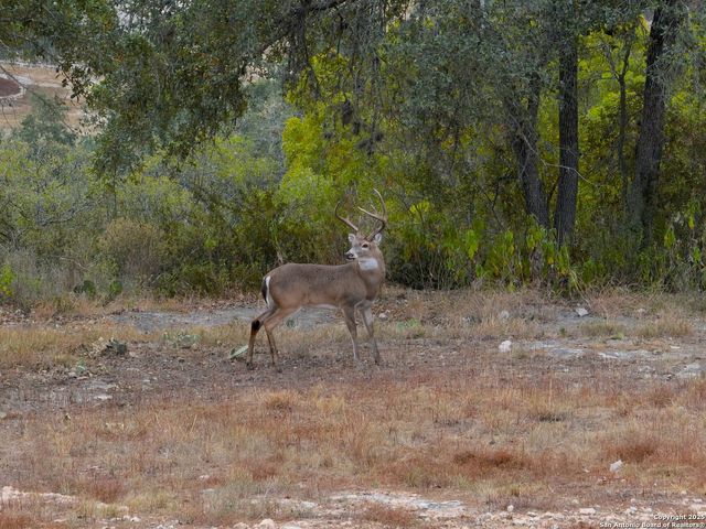 1232 Kings Cove Dr, Canyon Lake, TX 78133