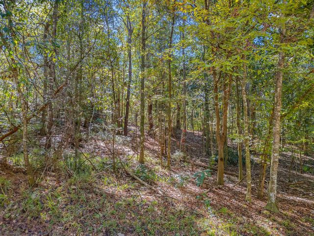 90 Magnolia Court, Havana, FL 32333