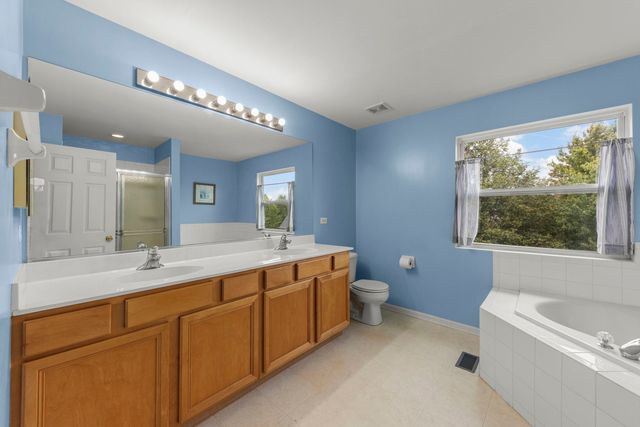253 Carlton Mews Court, Sugar Grove, IL 60554