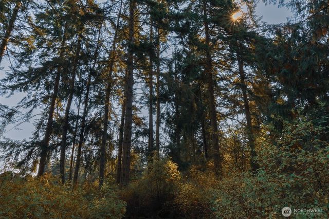 83 Medsker Road, Sequim, WA 98382