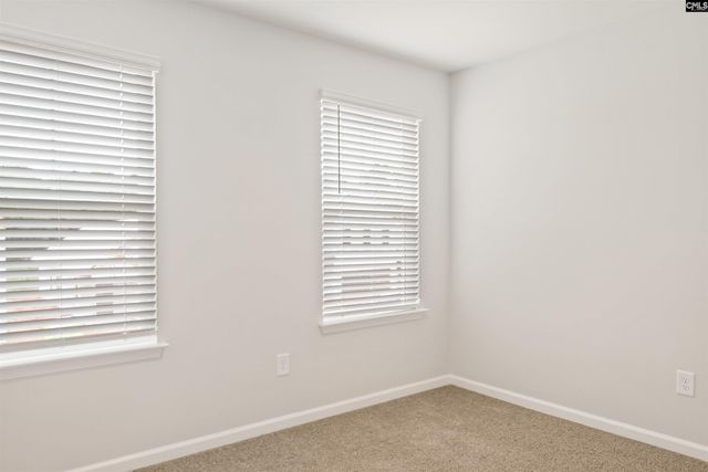 715 Miller Tree Way, Elgin, SC 29045