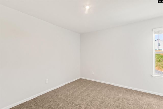 715 Miller Tree Way, Elgin, SC 29045