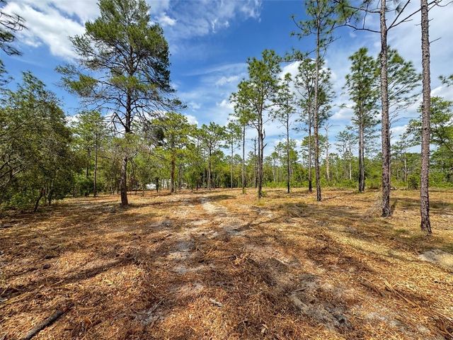 SW EDGEWATER BOULEVARD, Dunnellon, FL 34431