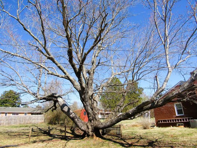 144 Maple Lane, Amherst, VA 24521