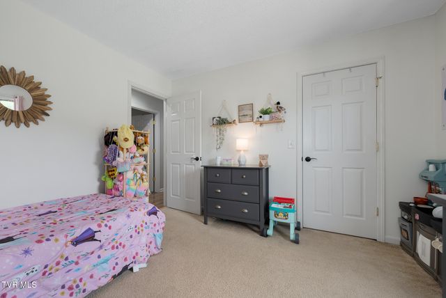 317 Chestnut Grove Church Road, Jonesborough, TN 37659
