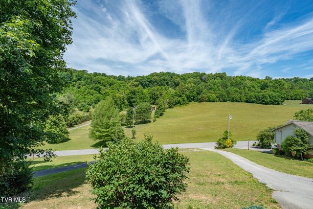 317 Chestnut Grove Church Road, Jonesborough, TN 37659