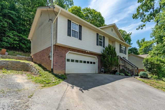 317 Chestnut Grove Church Road, Jonesborough, TN 37659