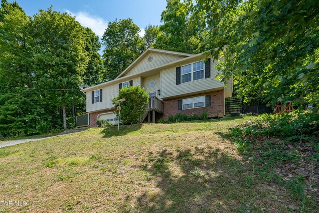 317 Chestnut Grove Church Road, Jonesborough, TN 37659