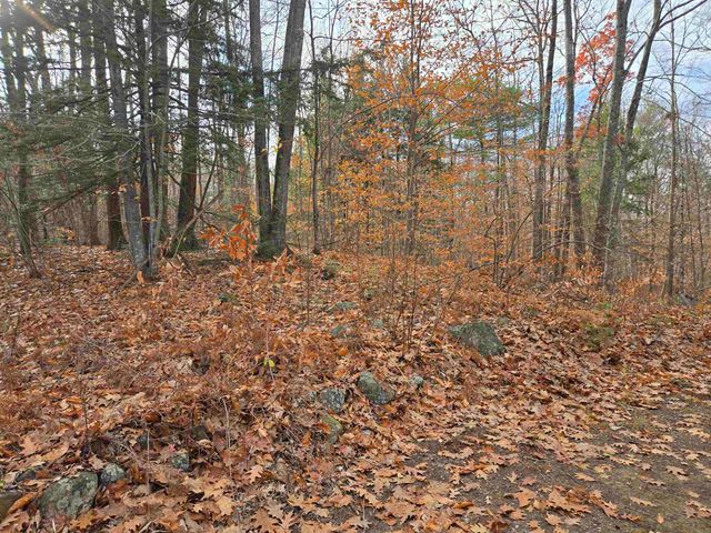 23 Liscomb Cir Unit 24, Gilford, NH 03249