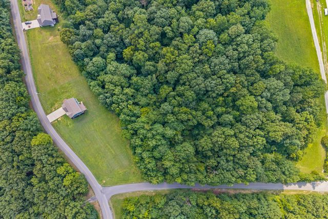 2265 Mockingbird Hill Rd, Palmyra, TN 37142