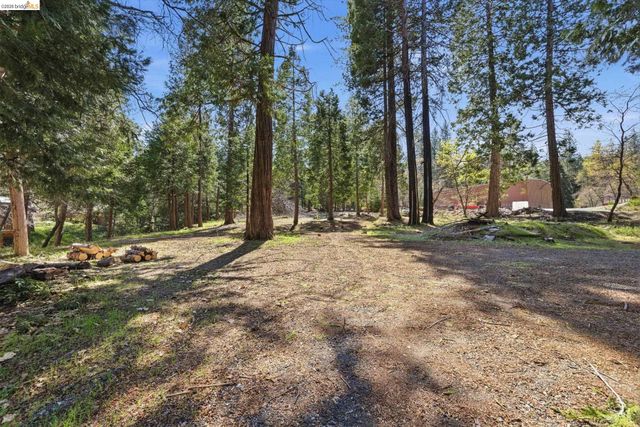 24189 S Fork Rd, Twain Harte, CA 95383
