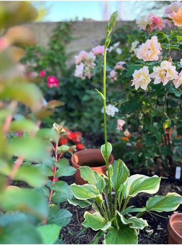 422 Fieldstone Road, Clever, MO 65631