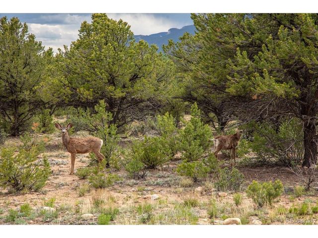 29274 Lakota Ln, Buena Vista, CO 81211