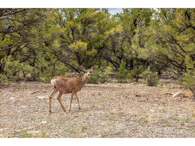 29274 Lakota Ln, Buena Vista, CO 81211