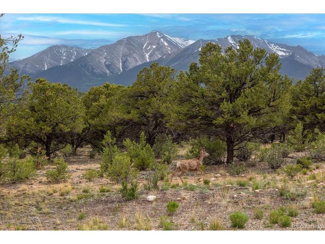 29274 Lakota Ln, Buena Vista, CO 81211