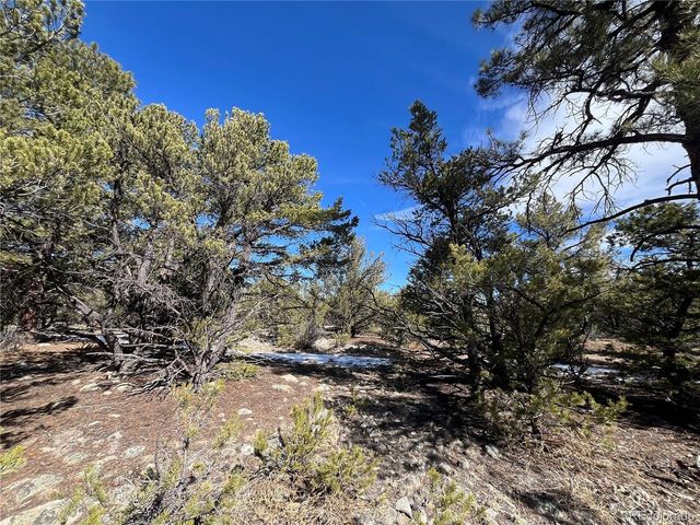 29274 Lakota Ln, Buena Vista, CO 81211