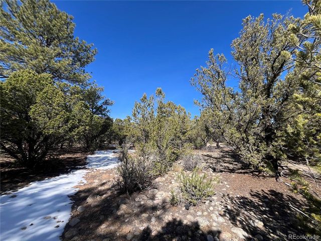 29274 Lakota Ln, Buena Vista, CO 81211