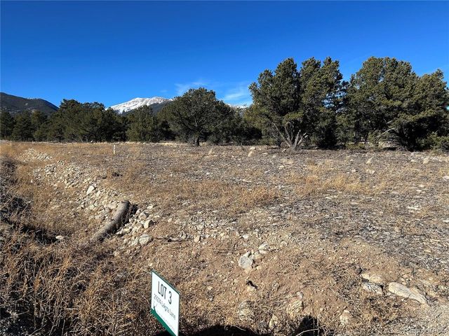 29274 Lakota Ln, Buena Vista, CO 81211