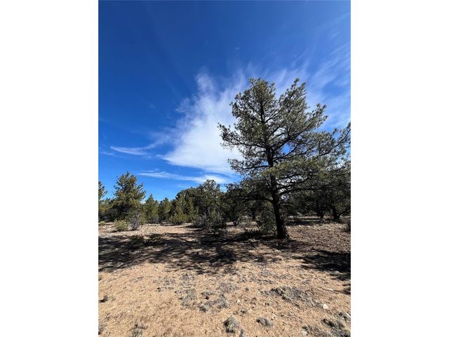29274 Lakota Ln, Buena Vista, CO 81211