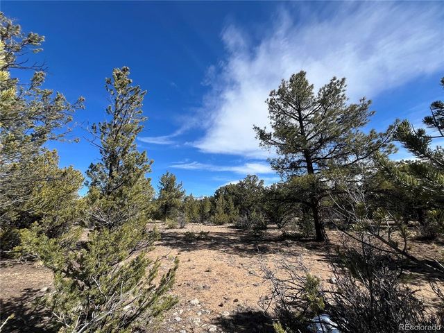 29274 Lakota Ln, Buena Vista, CO 81211
