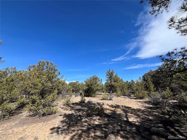 29274 Lakota Ln, Buena Vista, CO 81211