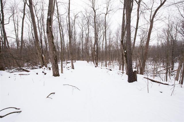 1070 Ashlyn Court, Fowlerville, MI 48836