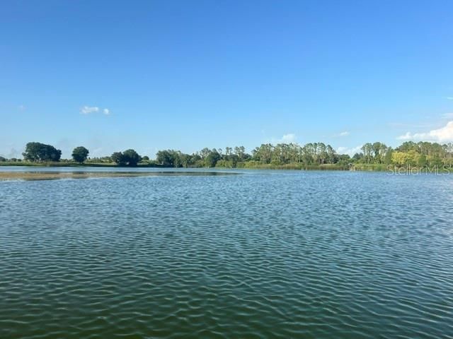 2959 CAMDEN WAY, Davenport, FL 33837