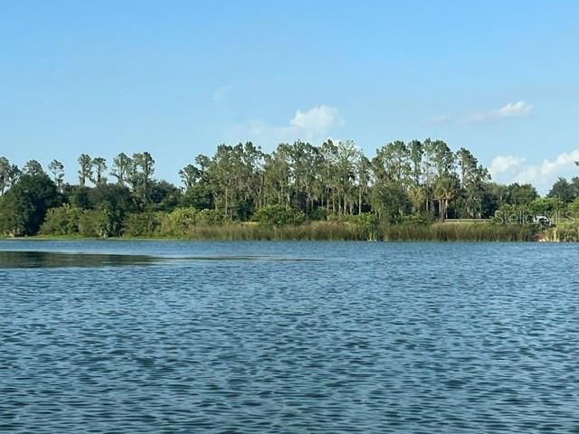 2959 CAMDEN WAY, Davenport, FL 33837
