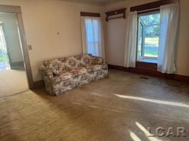 903 Michigan Avenue, Adrian, MI 49221