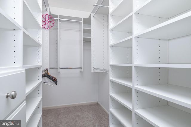 209 DEERGRASS RD, Hockessin, DE 19707