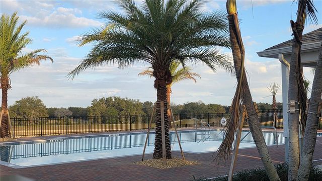 460 FREE RANGE DRIVE, Groveland, FL 34736