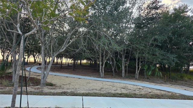 460 FREE RANGE DRIVE, Groveland, FL 34736