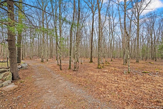 563 Peenpack Trail, Sparrowbush, NY 12780