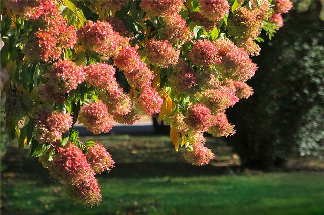 66 Webster Street 1, Newport, RI 02840