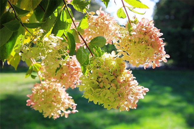 66 Webster Street 1, Newport, RI 02840