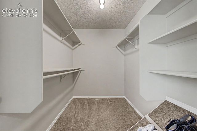 5407 Luster Drive, Colorado Springs, CO 80923