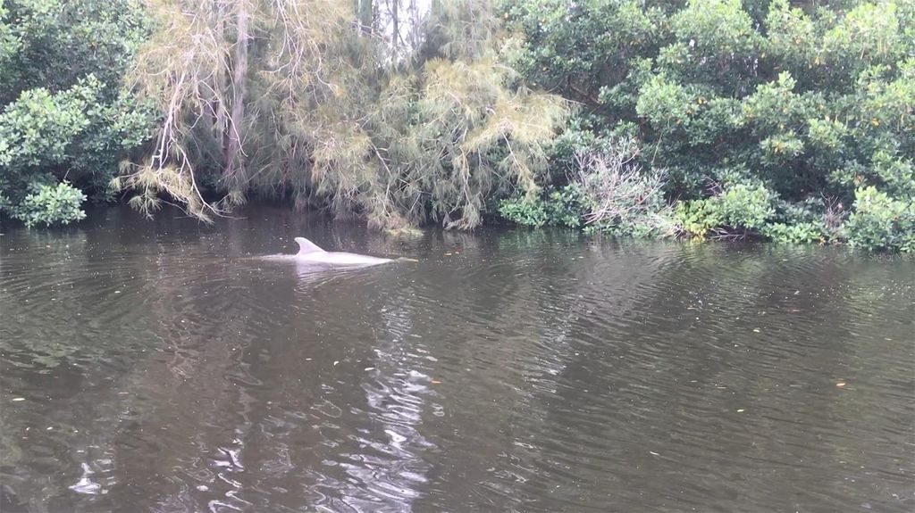 Image 65 of property listing at 201 79TH AVENUE NE, St Petersburg, FL 33702