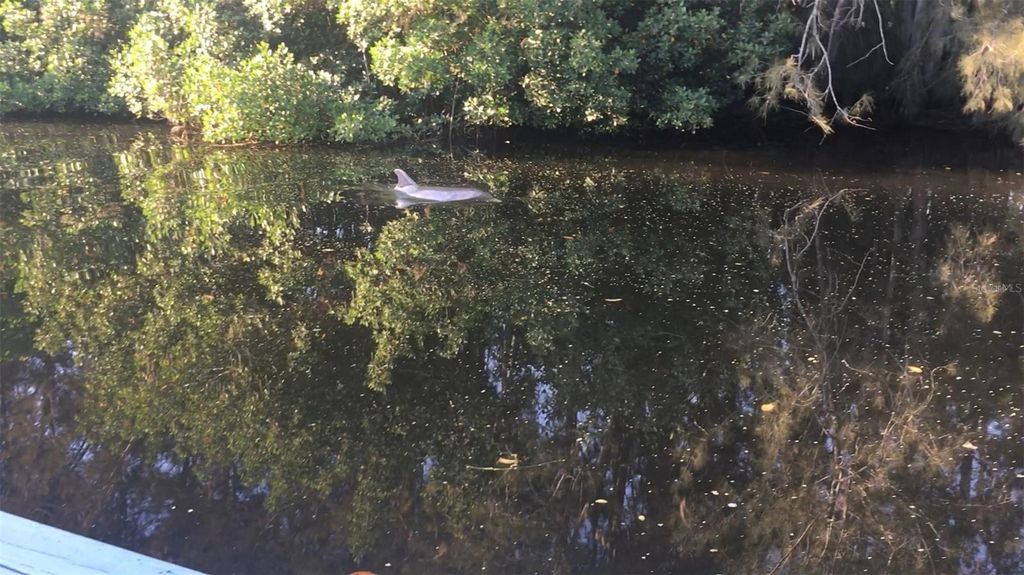 Image 66 of property listing at 201 79TH AVENUE NE, St Petersburg, FL 33702