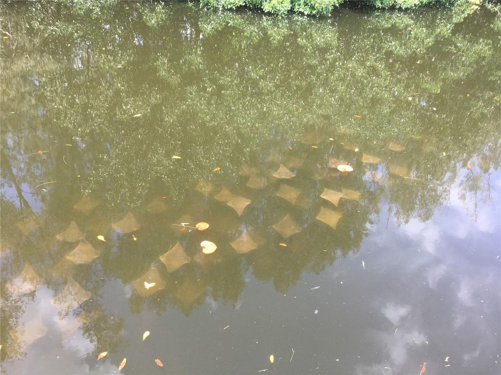 Image 67 of property listing at 201 79TH AVENUE NE, St Petersburg, FL 33702