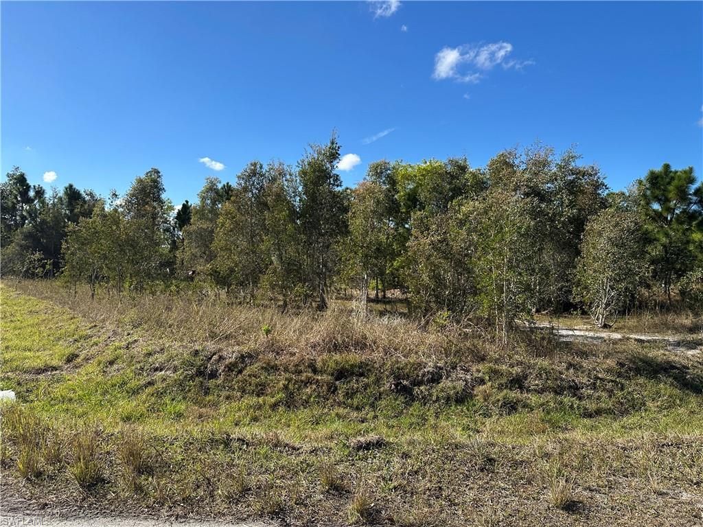 920 Panda DR, LEHIGH ACRES, FL 33974 — exterior