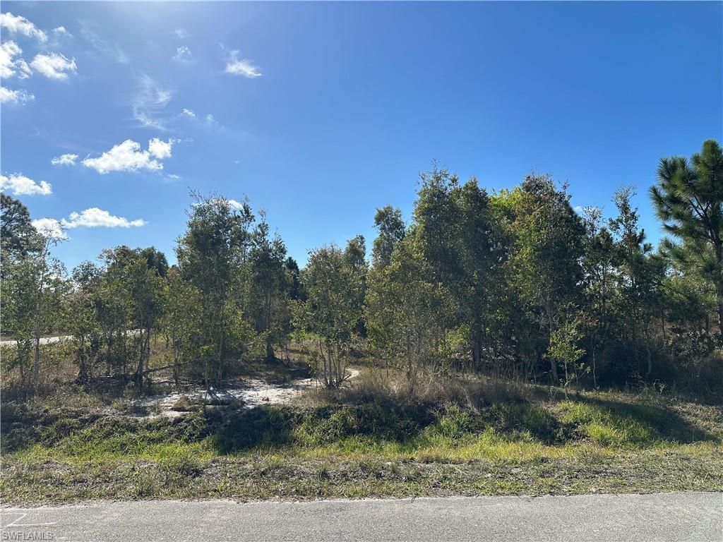 920 Panda DR, LEHIGH ACRES, FL 33974 — photo 2