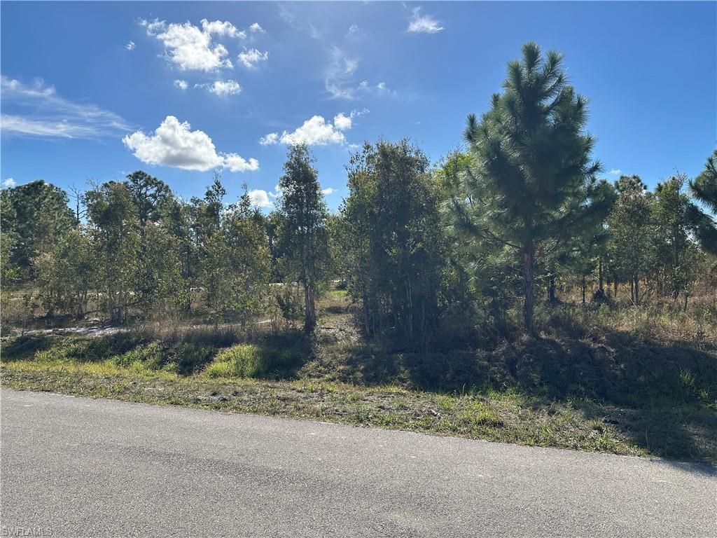 920 Panda DR, LEHIGH ACRES, FL 33974 — photo 3
