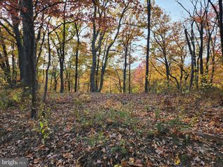 OAKWOOD ST, Cumberland, MD 21502