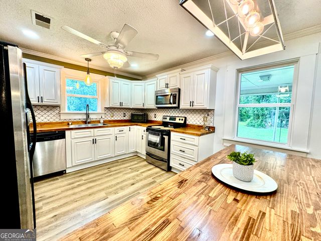 3919 Ga Highway 152, Cobbtown, GA 30420