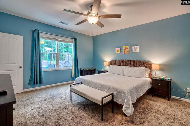 329 Dolly Horn Lane, Chapin, SC 29036
